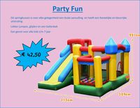 Party Fun website
